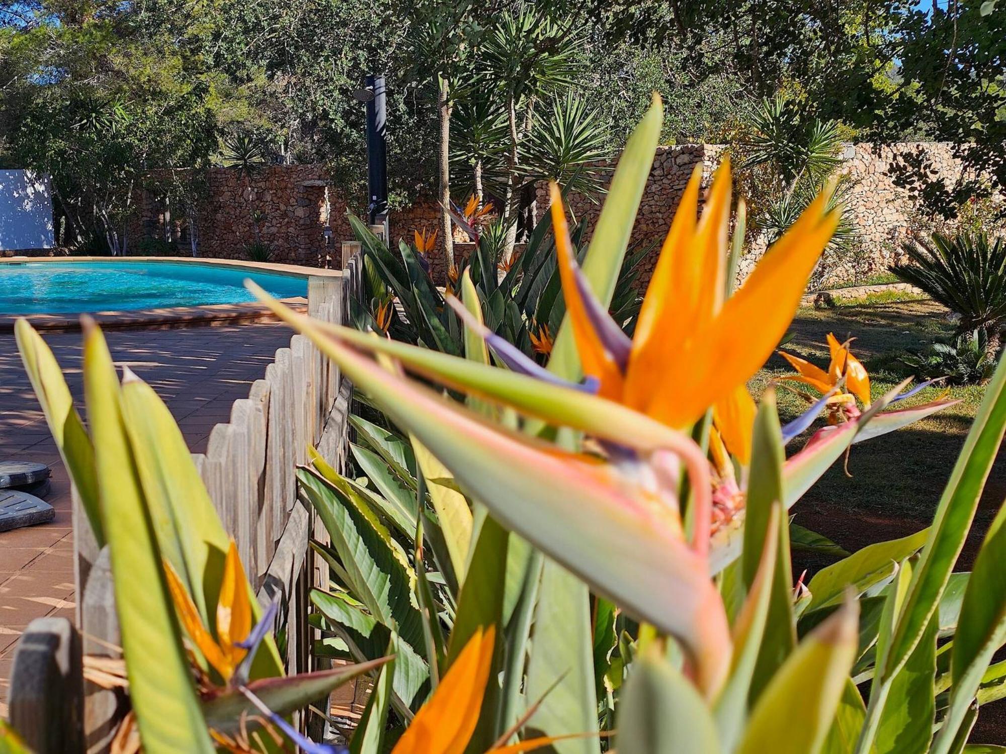 Vakantiehuis Cala Jondal 